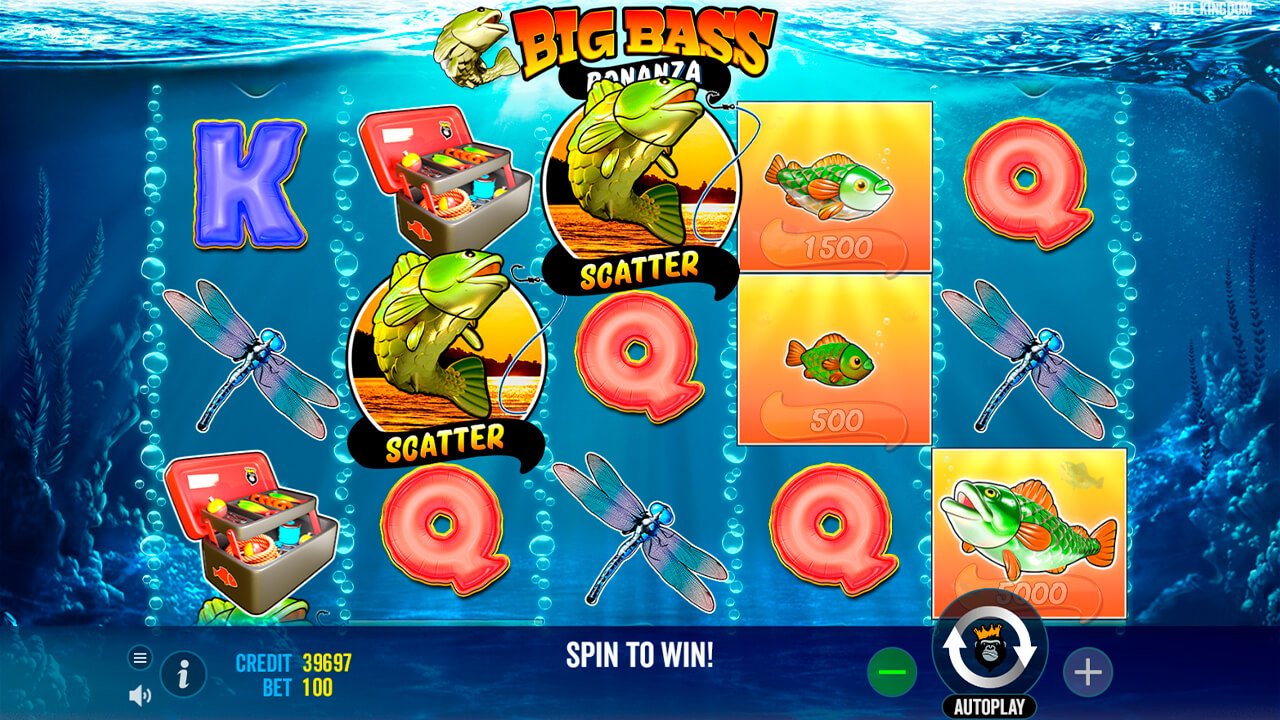 Big Bass Bonanza Vox Casino